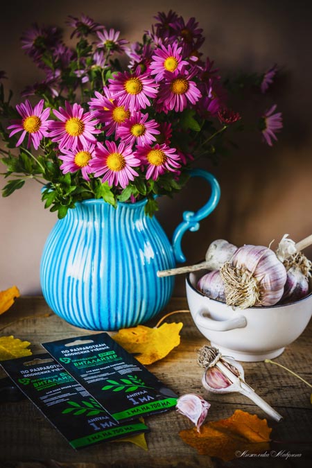 ВИТАЛАЙЗЕР ВЭР-700 - адаптоген и антистресс ВИТАЛАЙЗЕР ВЭР-700 - адаптоген и антистресс