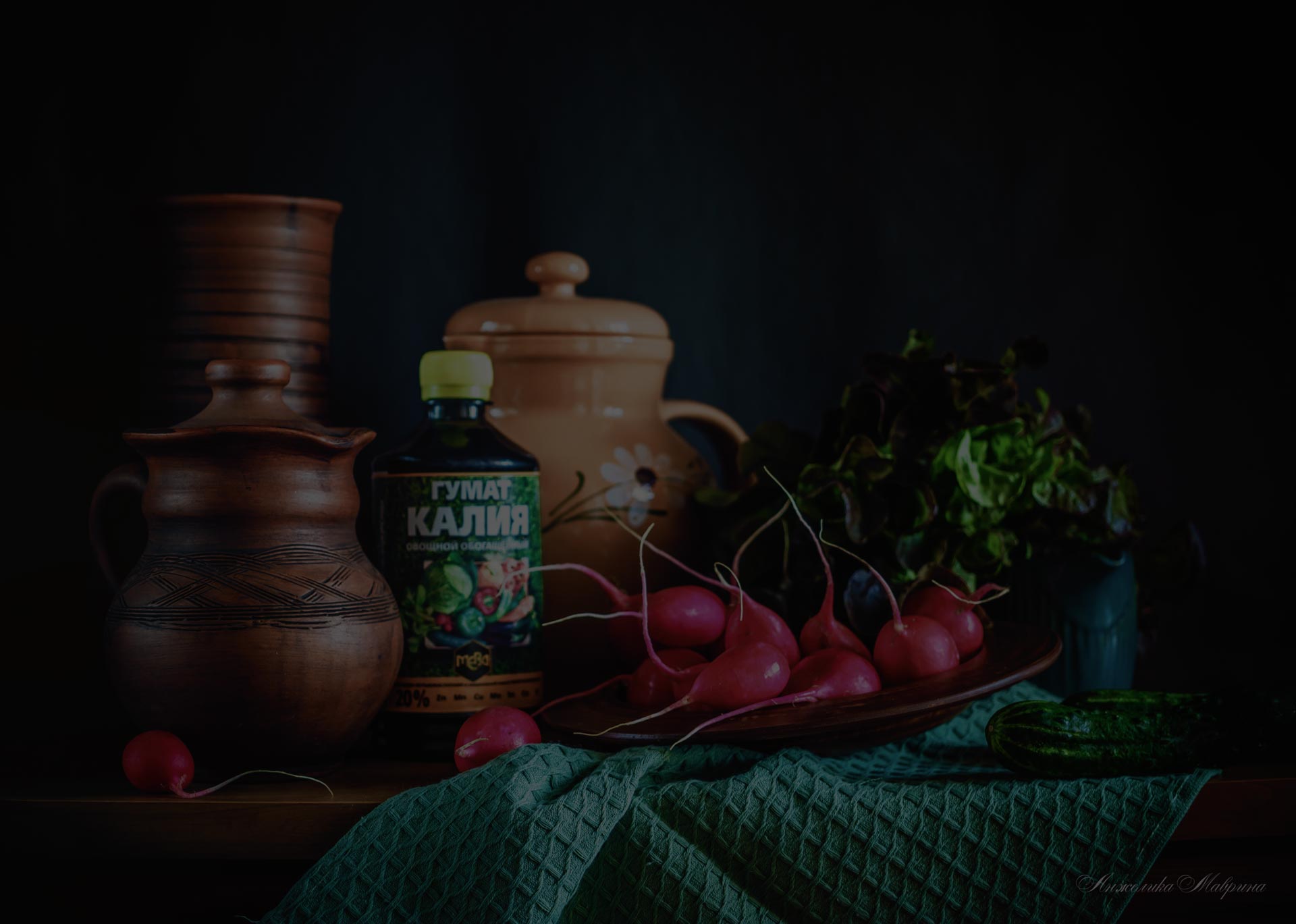 Выращивание рассады овощных культур из семян в январе в квартире Выращивание рассады овощных культур из семян в январе в квартире