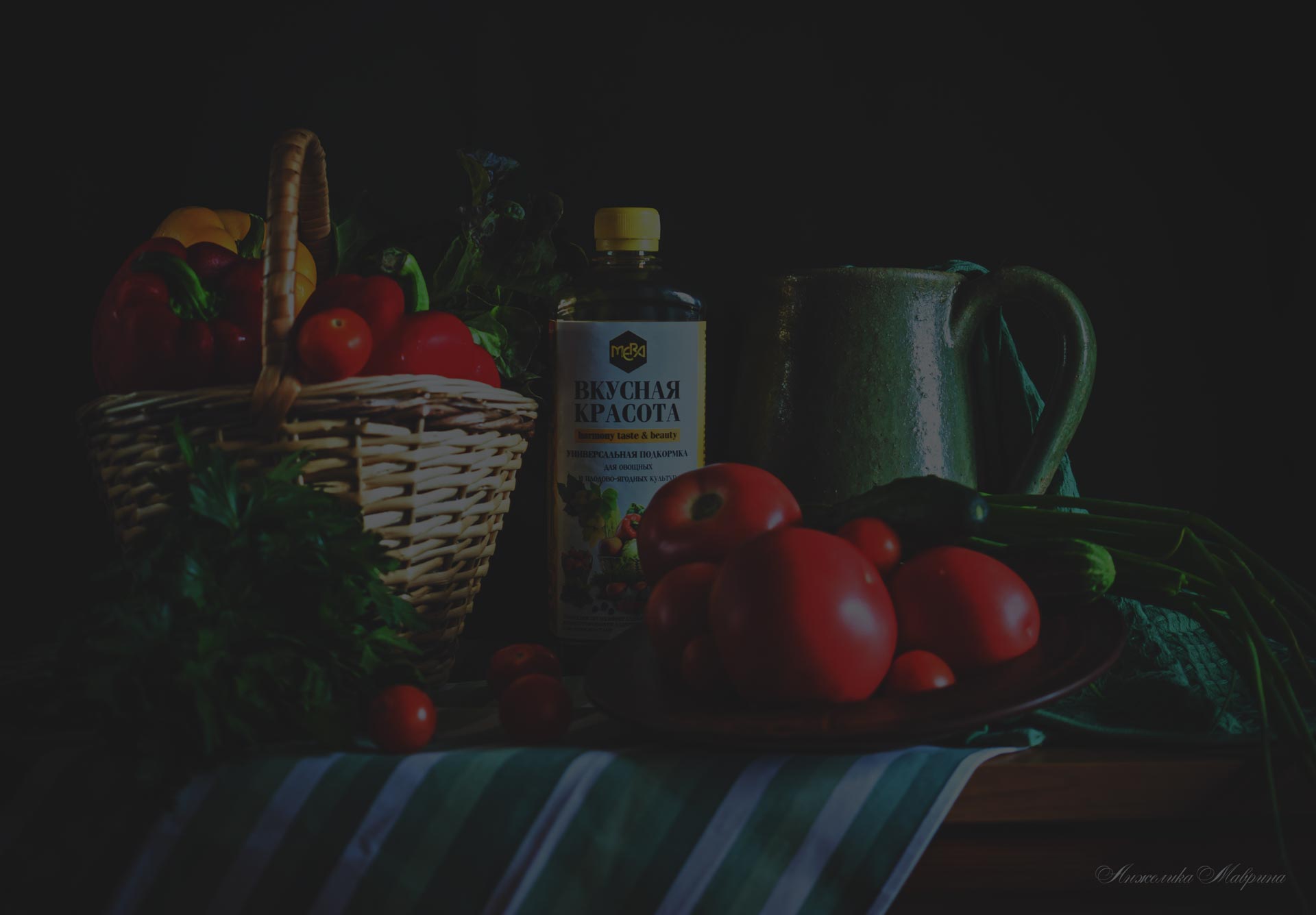 Выращивание огурцов в теплице из поликарбоната: пошаговое руководство