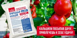 Кальцием посыпав дачу, привлечешь к себе удачу!