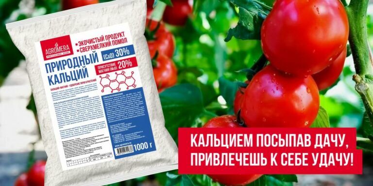 Кальцием посыпав дачу, привлечешь к себе удачу!