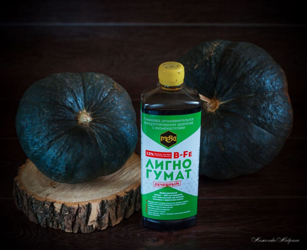 Дефицит железа у растений