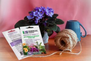 Система подкормки декоративно-лиственных растений: от всходов до роскошной кроны