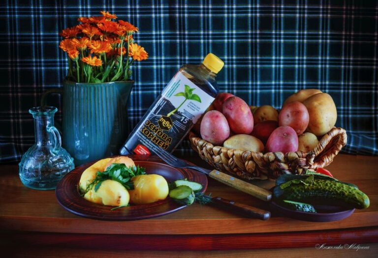 Вторая жизнь для поврежденных саженцев: восстановление корневой системы