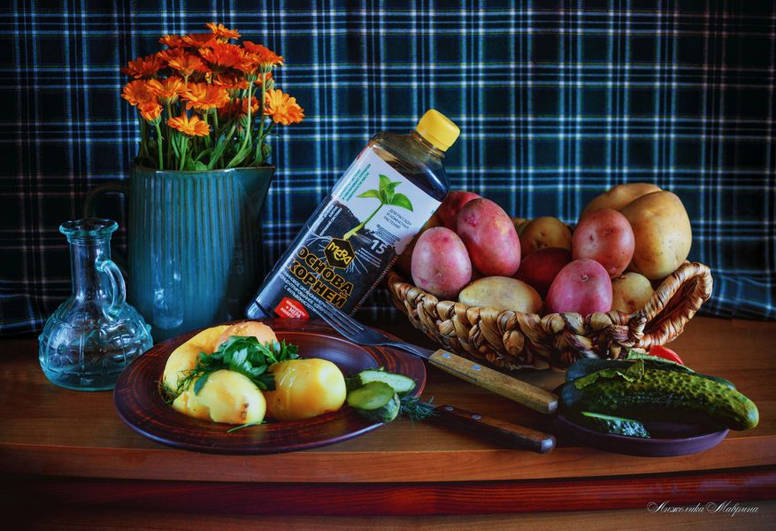 Вторая жизнь для поврежденных саженцев: восстановление корневой системы