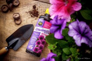 Посев семян петунии. Пошаговая инструкция для успешного проращивания