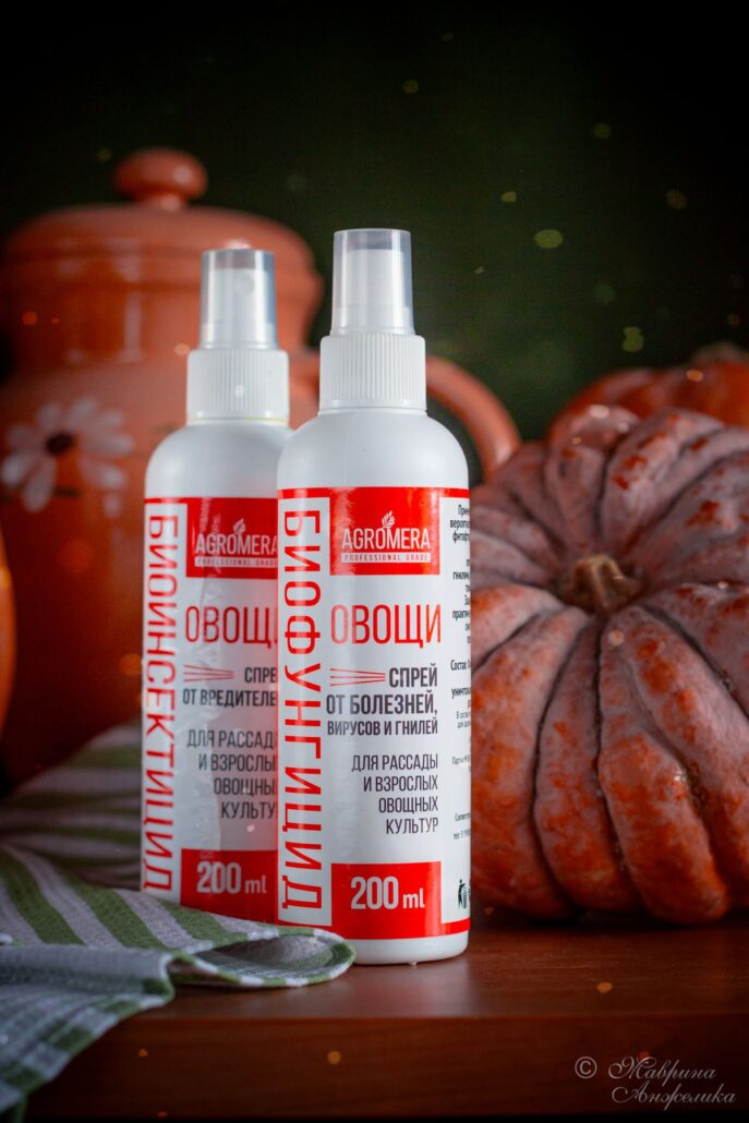 Простые методы борьбы с вредителями и болезнями огурцов в домашних условиях