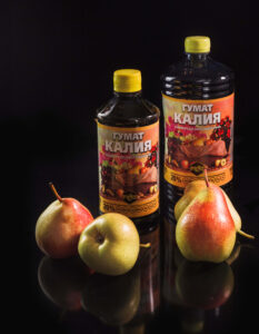 Чеснок круглый год в квартире: секреты размножения и ухода