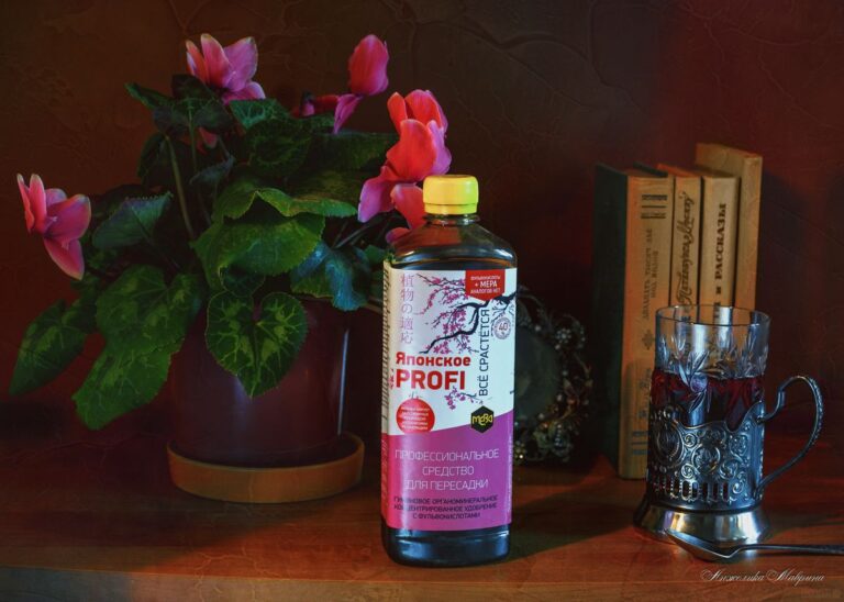 Выращивание рассады овощных культур из семян в январе в квартире